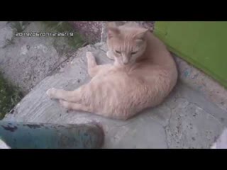 Город расцветает нефтеюганск