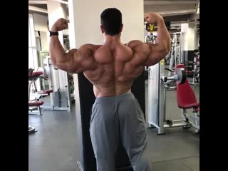 Ifbbpro hassan mostafa 20201127 004459 mp4