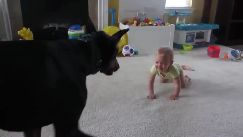 Молодые и секс (хорошее настроение, домашнее видео, счастье, любовь, забота, малыш, ребенок, охрана, сын, дочь, малыш, дом)