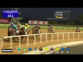 Dwc 2016 race 6 dubai golden shaheen sponsored by gulf news youtube