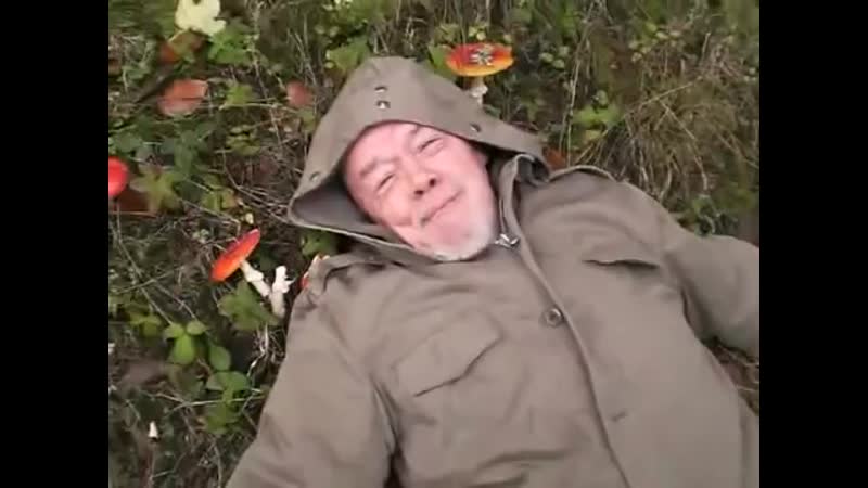 Съел мухомор