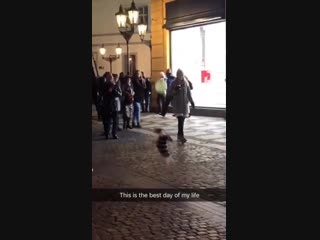 Little pooch and its yellow balloon