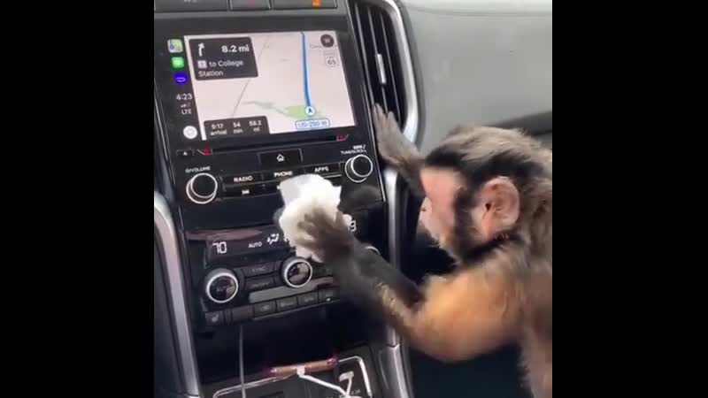 Обезьяна наводит чистоту (vhs video)