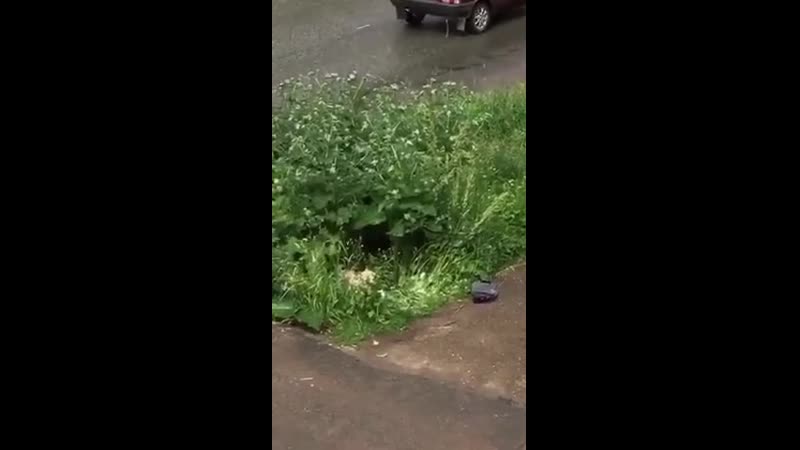 Тётя ирина начала охоту на молодые