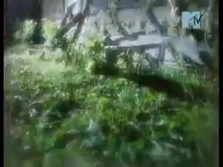 Киш проклятый старый дом