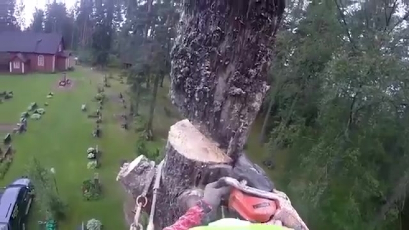 Мастерская работа лесоруба