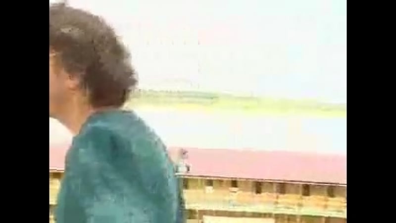 Секс с анфисой чеховой"владимир фомин секс только ради зачатия