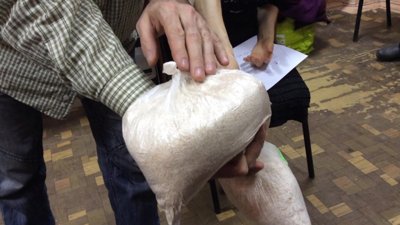 Туласи 1 img 2940