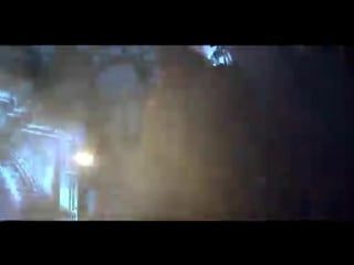 Corvus corax live in berlin (2009) part 2