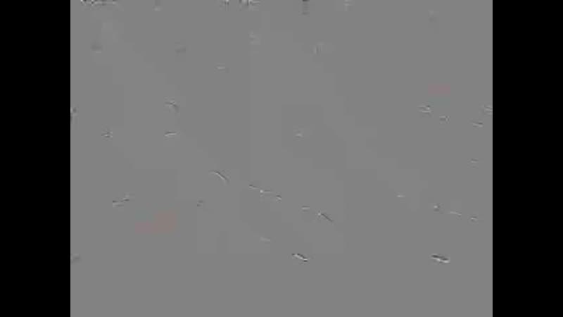 Антифа баннер против легальной наци демонстрации