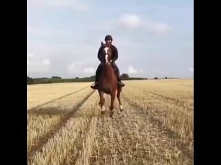 Красивое видео от #ehorse