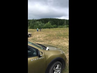 Live тёплая лапа ирбиса