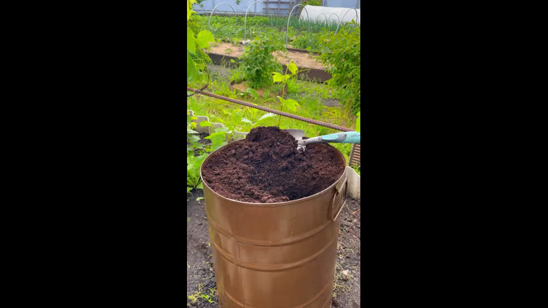 Огурцы в бочке (юля ired cap)