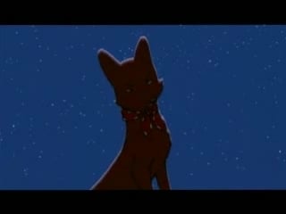 'the cunning little vixen' by leos janacek geoff dunbar's animation (2003)