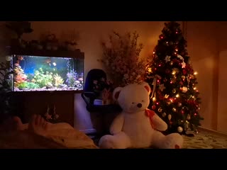 Vid 20210107 234818 mp4