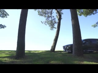 Dynamica batumi 2017 cc