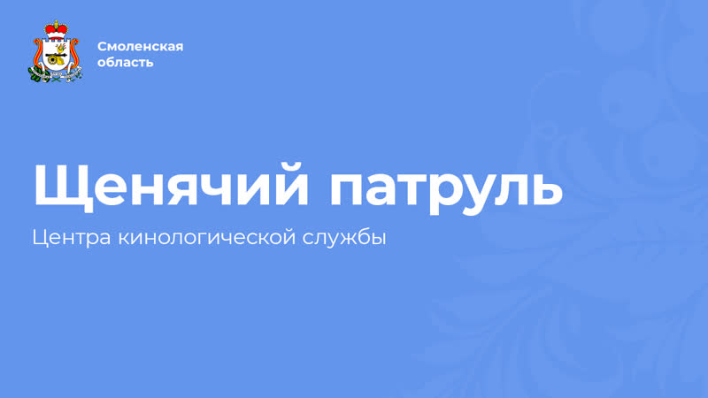 Щенячий патруль