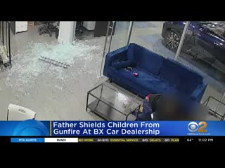 Caught on camera father shields porn from bullets inside bronx car dealersh