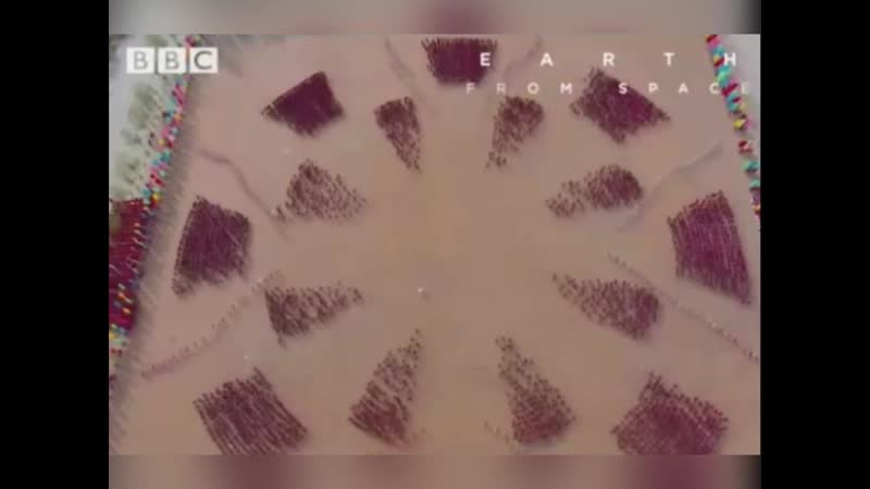 Тренироа монахов шао линя завораживает nhtybhjdrf vjyf[jd ifj kbyz pfdjhf;bdftn nhtybhjdrf vjyf[jd ifj kbyz pfdjhf;bdftn nh