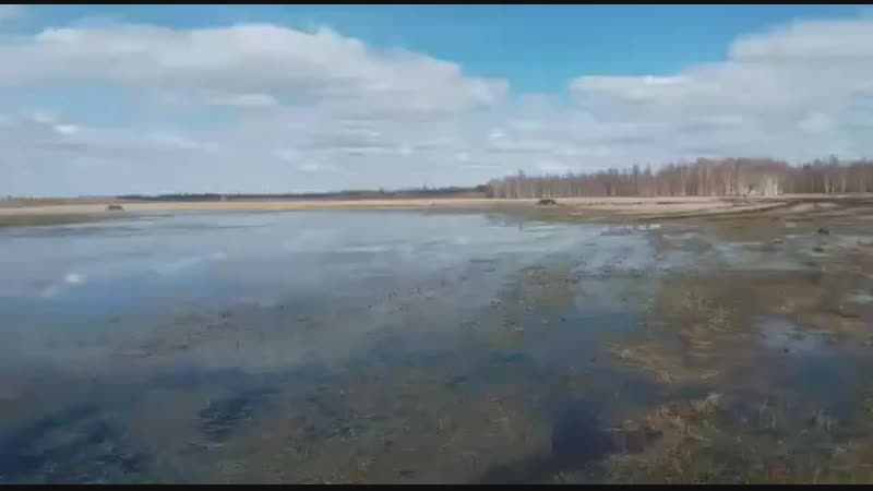 Сказка про "репку"