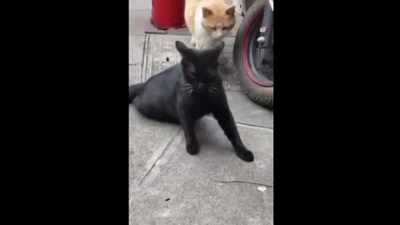 Милый, это не то, о чем ты подумал