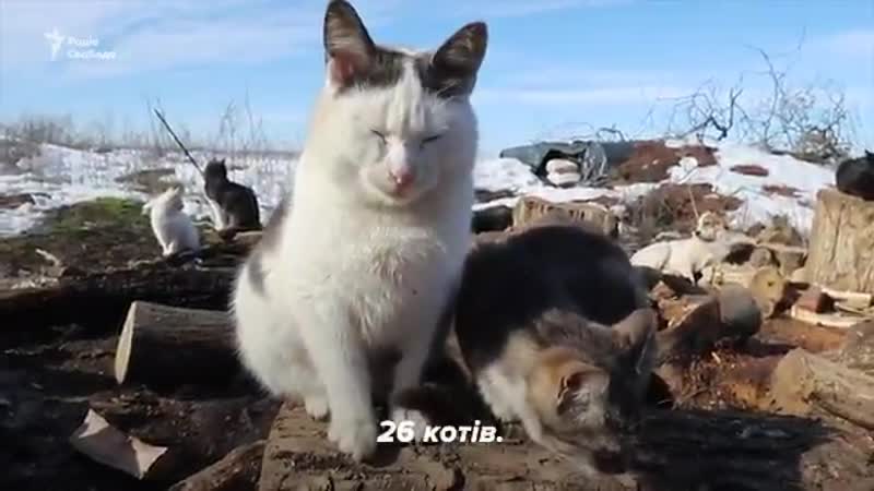 Пухнастий загін усміхнене обличчя з очами у формі серця подивіться на найкращих друзів українських військових на донбасі