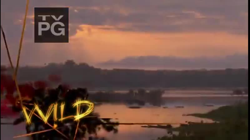 Самые опасные молодые в мире амазония документальный фильм national geographic