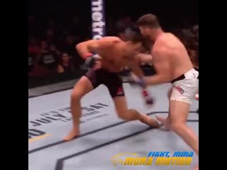 Ufc 199 michael bisping vs luke rockhold