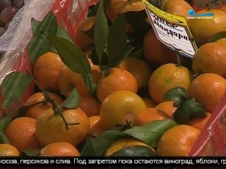 Россия частично сняла ограничения на импорт продуктов из турции