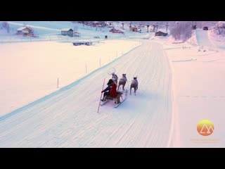 Reindeer and husky sledding