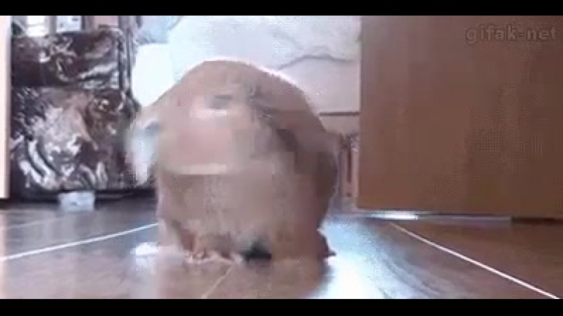 Сидишь себе, сидишь смотришь сериал и вдруг вспомнила, что на кухне картошка варится ))))))))