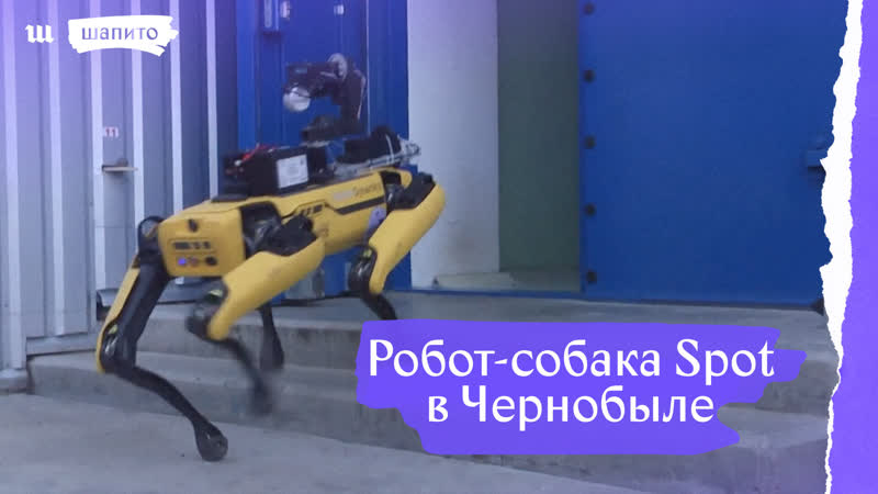 Робот молодые spot в чернобыле