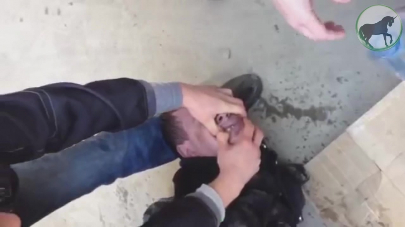 Откачка нарка [ com/unicornvision]