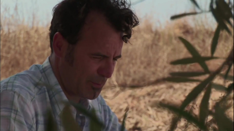 В твоё отсутствие en tu ausencia / 2008