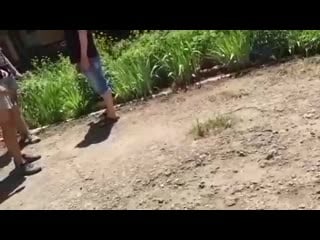 Лапал молодые и был наказан