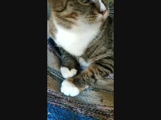 Девочка ясна