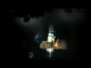 Ежик в твин пиксе i super vhs мэшап (vhs video)