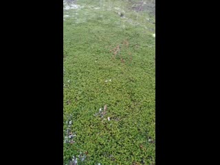 Vid 20201003 160142 mp4