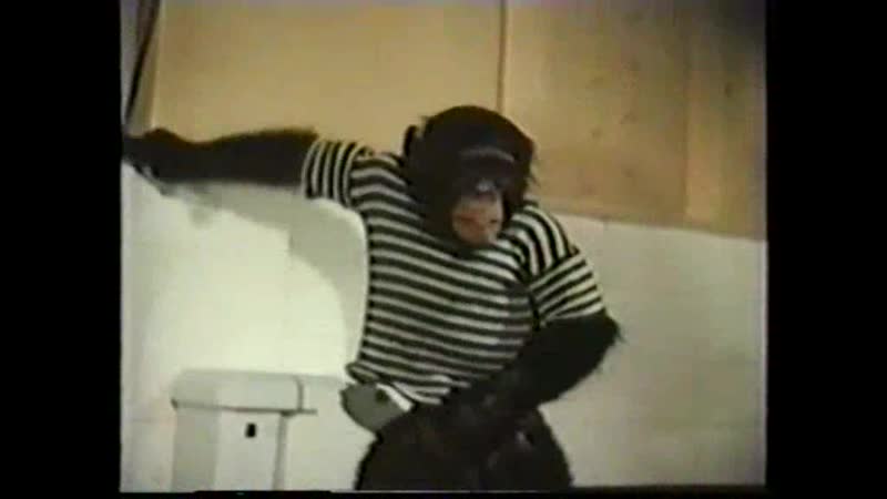 Полосатый рейс (1961) vhsrip