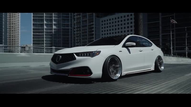 Miamis finest tlx | halcyon | perfect stance