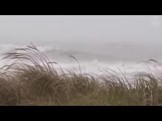 🌀 hurricane, storm ambience on the beach with heavy rough ocean waves crashing on the coast