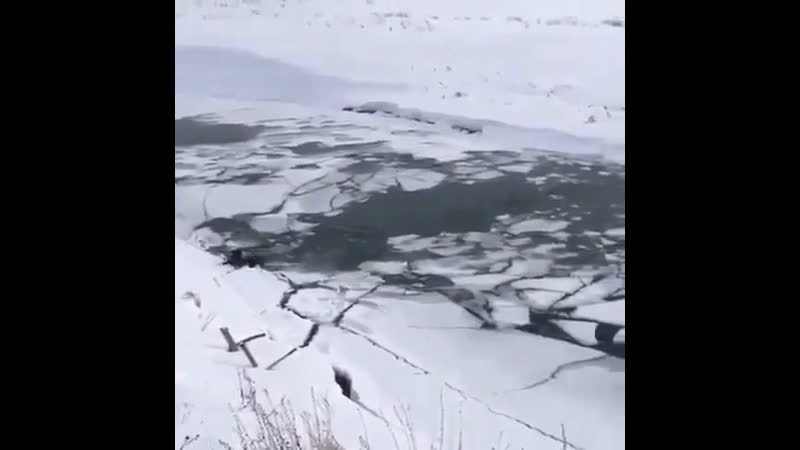 Утопил и снегоход и себя 😡😡😡