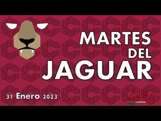 Martes del jaguar 31 de enero de 2023