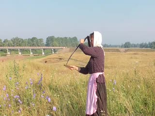 Петры павлы в красном зилиме