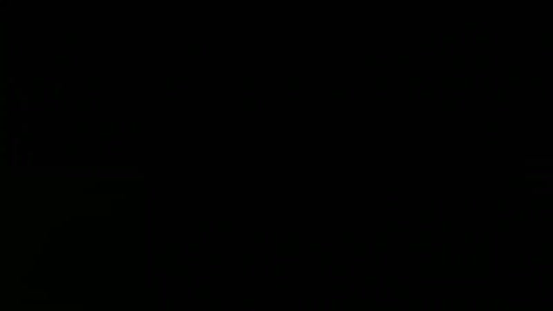 /storage/0403 0201/dcim/camera/