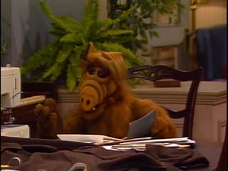 Alf quote season 2 episode 4 чековая книжка