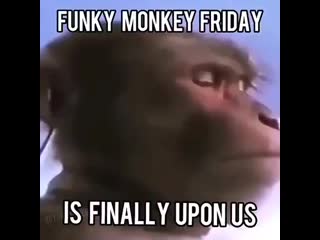 Fonky monky friday 2 бкг