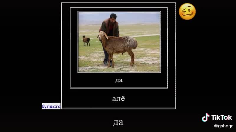 Девочки и тик ток але ты за грибами поедешь