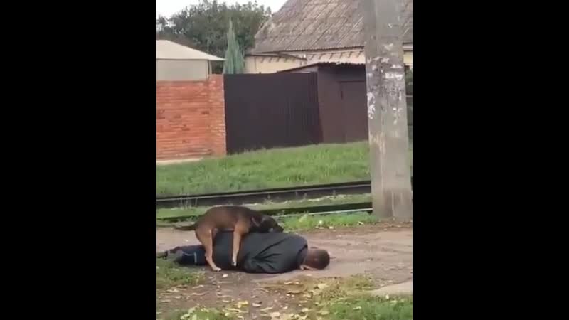 Беда не приходит одна