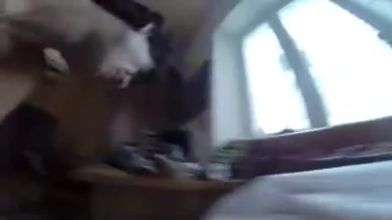 Секс бесплатно порно дам данные порно